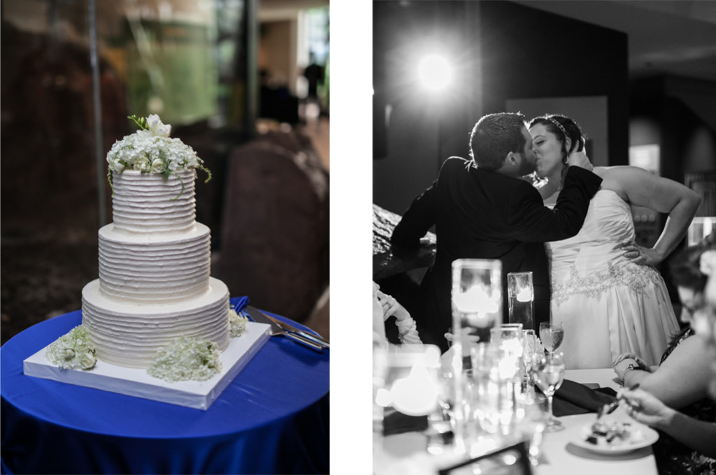 Chicago Lincoln Park Zoo Wedding