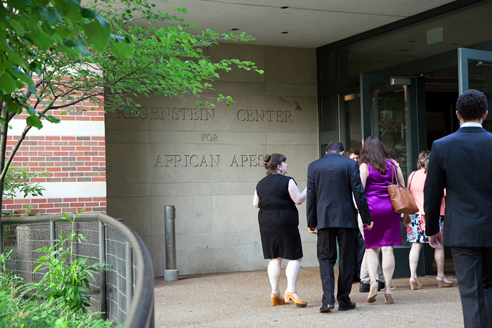 Center for African Apes Chicago