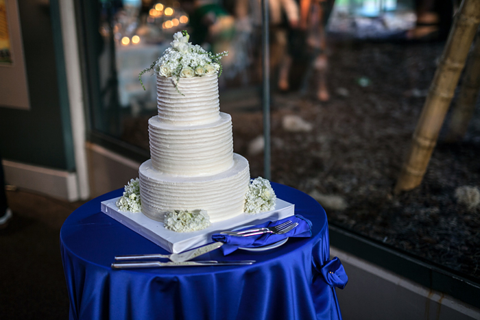 Wedding at the Lincoln Park Zoo